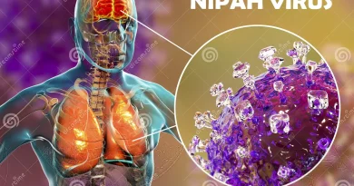 Understanding Nipah Virus: Origin, Symptoms, Prevention, and Treatment