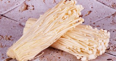 Enoki Mushrooms Reviewed in 6 States Because of Listeria Defilement